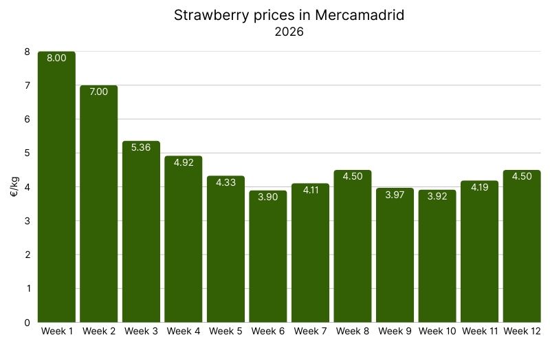 Strawberry prices in Mercamadrid, 2026 (3).jpg